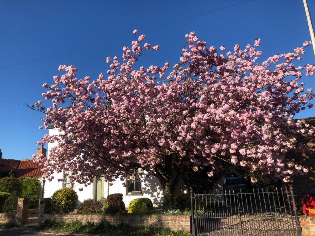 Cherry Tree Vakantiehuis